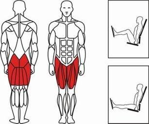 xr-9909 坐姿蹬腿训练器 seated leg press